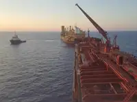 Yığın taşıyıcı satılık