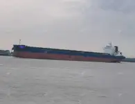 Dökme yük gemisi satılık