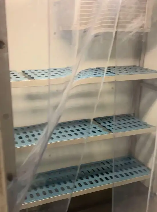 Kruvaziyer feribotu satılık