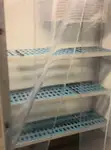 Kruvaziyer feribotu satılık