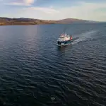 Araştırma gemisi satılık