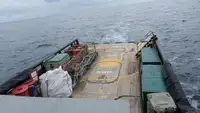 Devriye botu satılık