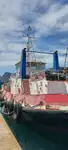 Römorkör satılık