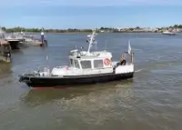 devriye botu satılık