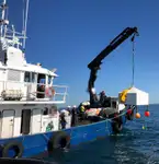 İş gemileri satılık
