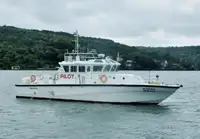 Devriye botu satılık