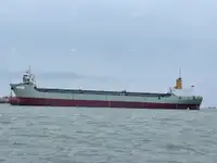Yük gemisi satılık