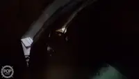 Trol gemisi satılık