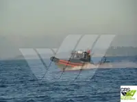 Sert şişme bot satılık