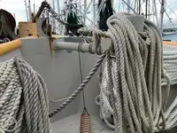 Trol gemisi satılık