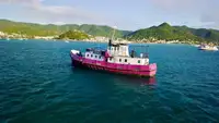 General Cargo/Multi-purpose satılık