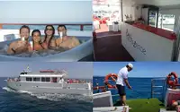 Kruvaziyer gemisi satılık