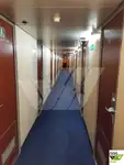 Kruvaziyer gemisi satılık