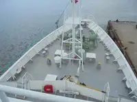 Devriye botu satılık