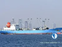 Soğutmalı gemi satılık