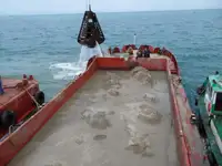 Gezi teknesi satılık