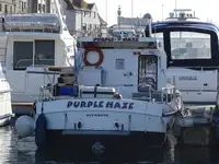 Trol gemisi satılık