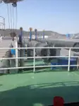 Dredger (Kazık çakma gemisi) satılık