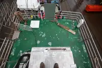 Feribot satılık