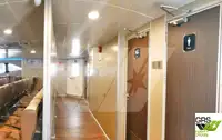 Kruvaziyer gemisi satılık