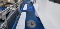 Katamaran satılık