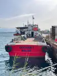 Konteyner gemisi satılık