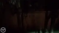 Trol gemisi satılık