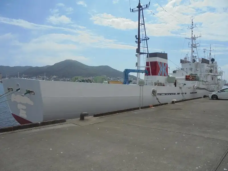 Devriye botu satılık