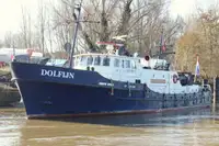 Devriye botu satılık