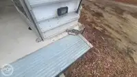 Kruvaziyer gemisi satılık