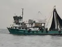 Çift ağlı trol satılık