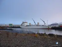 Soğutmalı gemi satılık