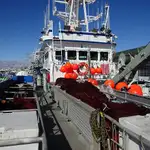 Çift ağlı trol satılık