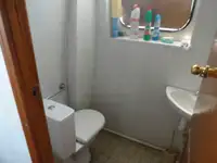 Yolcu gemisi satılık