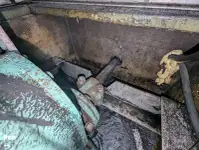 Kruvaziyer feribotu satılık