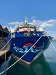 Kruvaziyer gemisi satılık