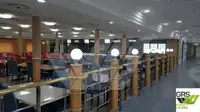 Ro-Ro gemisi satılık