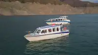Kruvaziyer gemisi satılık