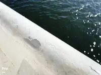 Trol gemisi satılık