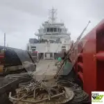 Tedarik gemisi satılık