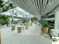 Kruvaziyer gemisi satılık
