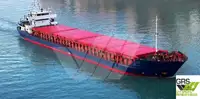 Yığın taşıyıcı satılık