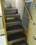 Pilot teknesi satılık