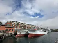 Trol gemisi satılık
