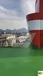 Kruvaziyer gemisi satılık