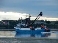 Çift ağlı trol satılık