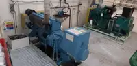 Devriye botu satılık