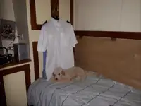 Devriye botu satılık