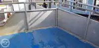 Katamaran satılık