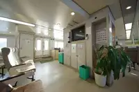 Kruvaziyer gemisi satılık